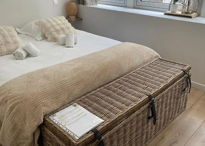 Le Vaucanson Hyper-centre Lumineux Et Chaleureux T2 ,1 Chambre, 2 Lits Apartment Grenoble